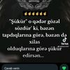 black_bater_fly