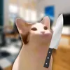 ruancute