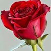 user3035793615980
