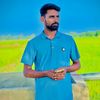 alich4078