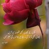 ahmadjawad287