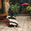 ysr.outfit5