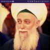 habibshams8