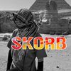 tos_skorb