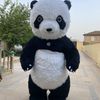 menimpandam_