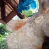 zaw.zaw1316