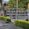userpro_maintiktok2