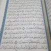 user6500661692531