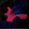 mahmod_d7
