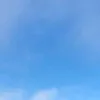 maxoffacts