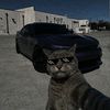 nidea_2.0