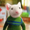 Rodfazzio 🐁