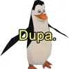 maciora123_