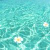 fav.beautytips
