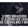 willy.castellanos