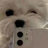 mishel_1_4