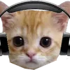 nawt_real