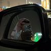 حسام المطيري