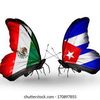 anyela.chavez0