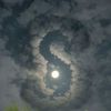Shasa