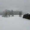 crissiedudu