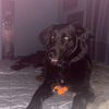 cooper_haun