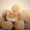 mrcatchatkatze