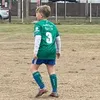 martin_2013.1