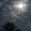bn__bsh