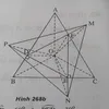 nqminzqi
