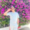 anisdib22