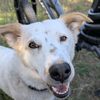 heelerlove82