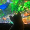 fortnitepro10883