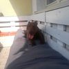 mandy.horendt