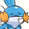 mudkip311