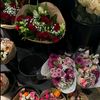 shifa_islam_6