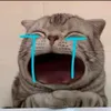bangmiopla