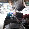 ariantosembiring6