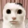 huongvicuocsongtg