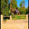anwargym6