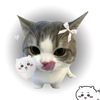 user1624131162294