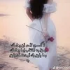 user1811525614254