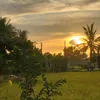 thuykieu19884