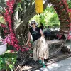 Nguyễn dần lá nam