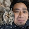 tigercat.family