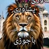 aminullah3838