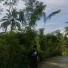 pdli_j