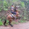 jeisar.rosales