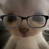 lliesha.a