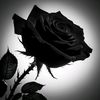 rtyuro90.yyrir